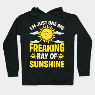 I'm Just One Big Freaking Ray Of Sunshine Hoodie